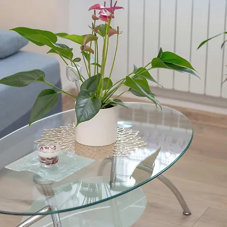 Five Bedroom For 12 In Gdansk Center With Desk And Balcony By Renters