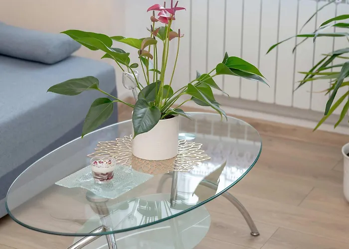 Five Bedroom For 12 In Gdansk Center With Desk And Balcony By Renters