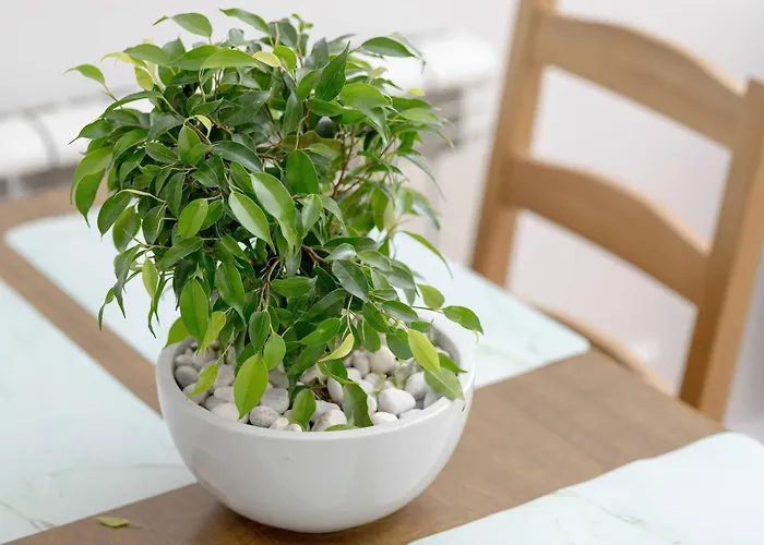 Apartament Five Bedroom For 12 In Gdansk Center With Desk And Balcony By Renters *